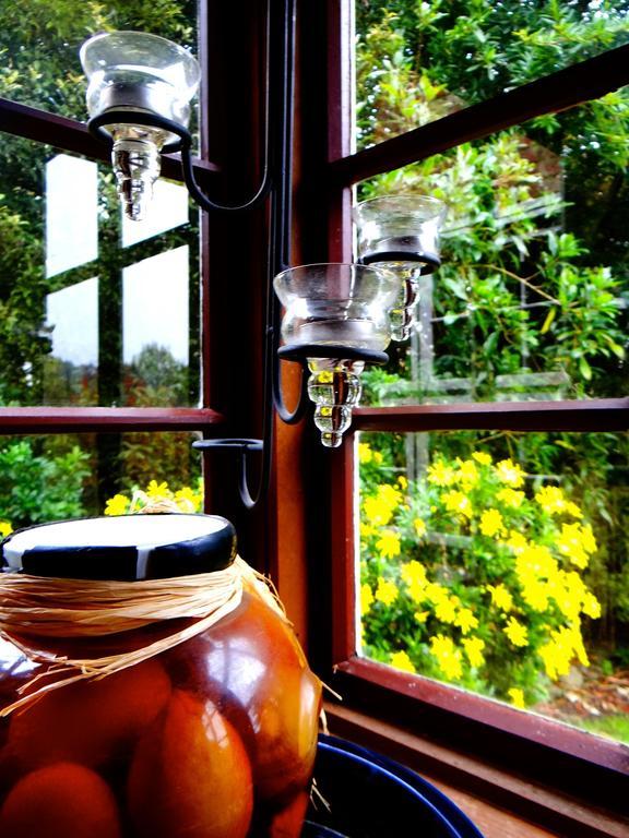 Arden Country House Waitati Εξωτερικό φωτογραφία