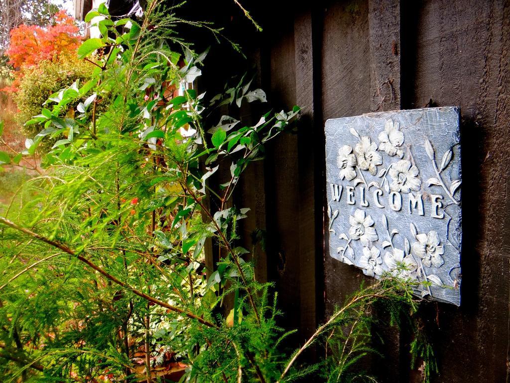 Arden Country House Waitati Εξωτερικό φωτογραφία