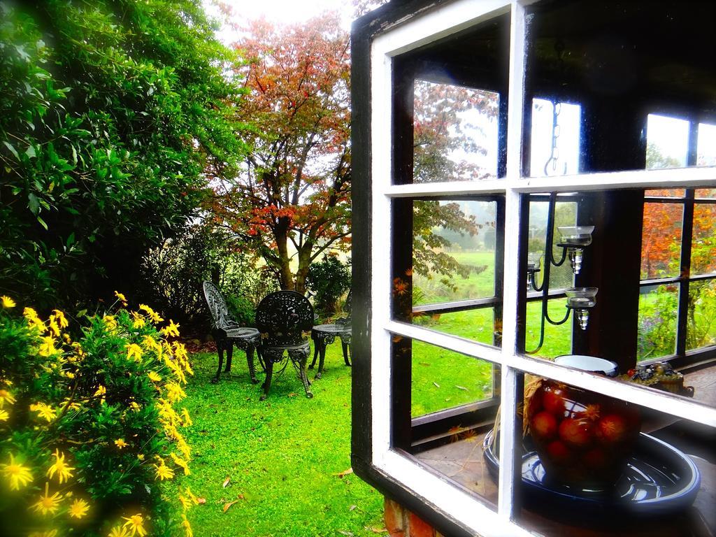 Arden Country House Waitati Εξωτερικό φωτογραφία
