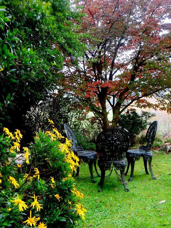 Arden Country House Waitati Εξωτερικό φωτογραφία