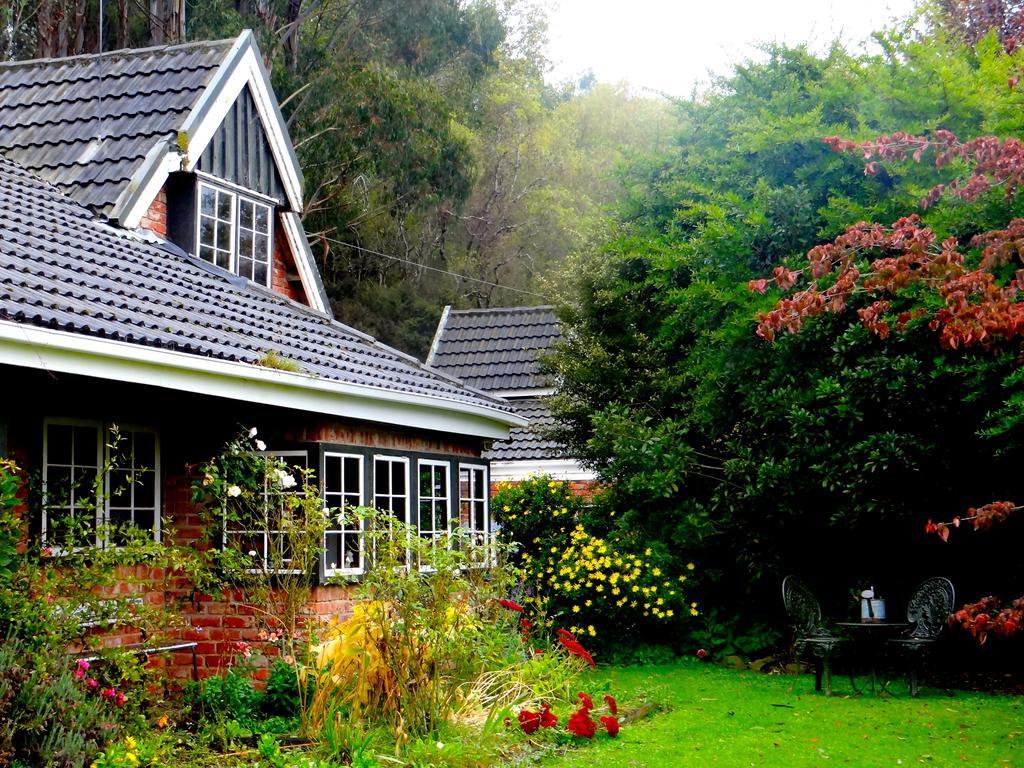 Arden Country House Waitati Εξωτερικό φωτογραφία
