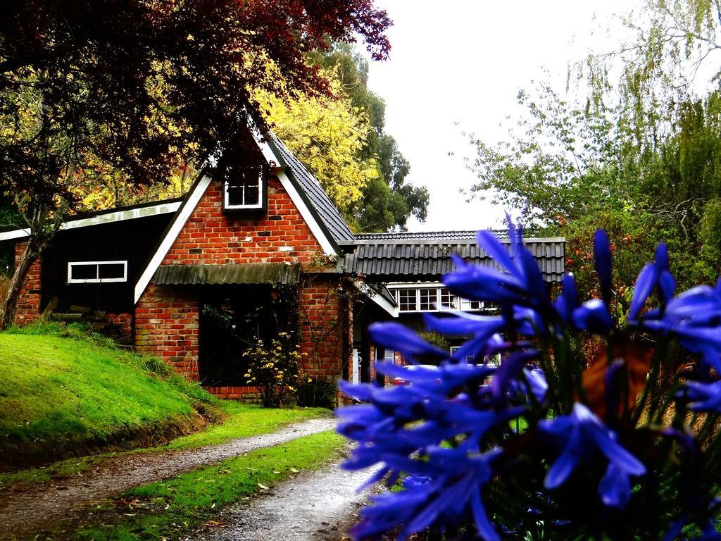 Arden Country House Waitati Εξωτερικό φωτογραφία